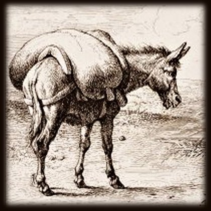 detail from an etching: "The Two Mules," 1830, by Eugene Verboeckhoven