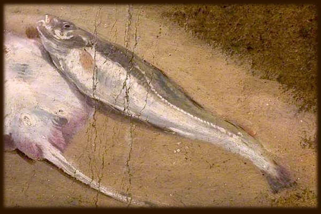 detail from a 19th century painting of a cod fish
